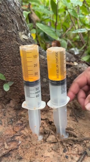 Wow😱 SMART Ideas and USEFUL#shorts #shortsfeed #outdoors #viralvideo