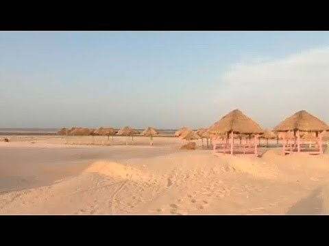 Beaches around the world: Marajó Bay, in the Amazon Delta