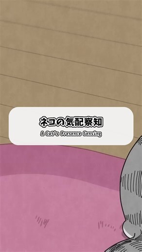 夜は猫といっしょ：猫の気配察知アニメ