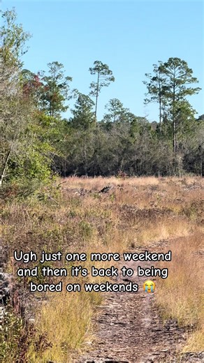 Hunting Season Insights: A Weekend Perspective