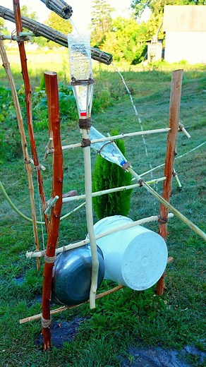 Life Hack Shack on Instagram: "How to Keep Birds & Moles Out of Your Garden (Simple Build) #diy #skills #tips #lifehacks #outdoors #backyard #garden"