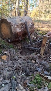 Survival trapping skill #trap #trapping #skills | Gettiz