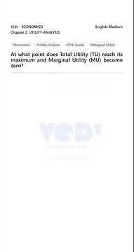 Max Utility Explained | Economics 12th