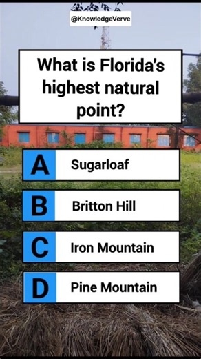 Florida's Highest Natural Point ⛰️ | USA Geography Quiz #BrittonHill #TriviaChallenge #USAGeography