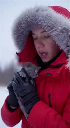 Santa Rescues Kitten from Ice in Seconds! ❄️ #animalrescue #pet #kittenrescues #santa cat #aivideo