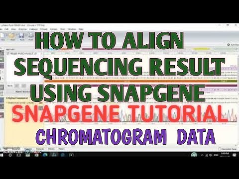 Align sequencing result using snapgene.