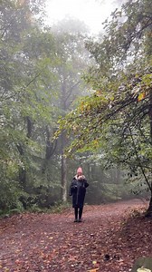 14K views · 81 reactions | Come for a rainy walk in the woods with me...