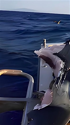 The Sea Monster That Bit a Shark in Half...