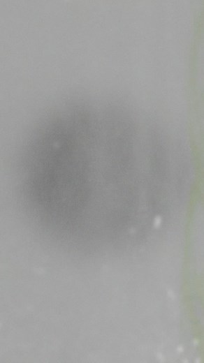 FALL COLLECTION - New Styles 20% Off Select Outerwear. Available now. | Slipknot