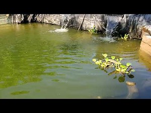 Jebao SCP 150 Cross Flow Wavemaker for our Mega Pond Aquarium