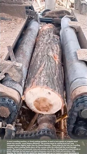 How Wood Rounding Machines Shape Perfect Poles #woodworking #farming