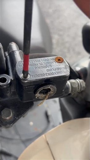 Disc brake glass oil leakage problem solved#shortvideo