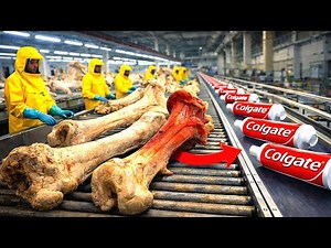 From Animal Bones to Everyday Toothpaste | Inside the Factory