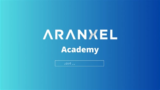 Qué es el anexo 24 - Academy