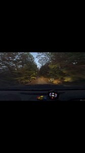 O alta zi | Duster Urs MCS