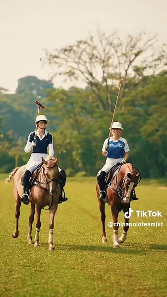 Polo Sports: From Dust to Victory in Equestrian Challenges