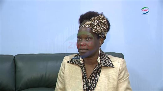 Italian Firm Proposes Auto Parts Plant in Zambia By Doreen Chembe An Italian-based company, New Design Engineering and Mold Construction, has called for collaborative efforts with local investors to establish a manufacturing plant for motor vehicle parts in Zambia. Speaking in an interview with ZNBC News, the company’s General Manager, SERGIO TIZIANO, said the initiative would help reduce the cost of importing spare parts. Mr. TIZIANO added that such a venture would not only lower costs but also