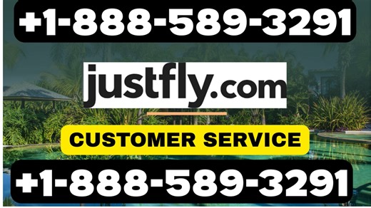 Justfly Customer Service: Vacation Homes, Flights & More