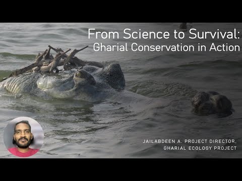 From Science to Survival: Gharial Conservation in Action