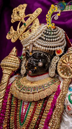 Harsh Truth About Life 🙏 | Dwarkadhish Darshan | Day 93/365