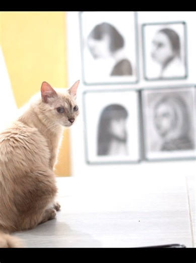 Videos de Félix Pineda (@felix.priapo) con “El Atravesado - Juan Pablo Vega”