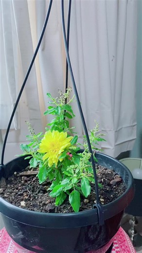 Radhe Krishna Devotional Songs and Chants