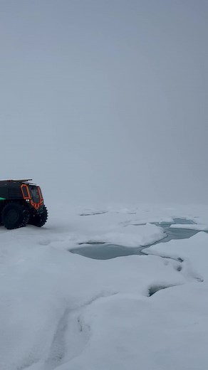 SHERP - all terrain vehicles на TikTok