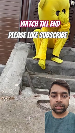 Man Terrified as Snake Comes Too Close 🐍😨 #shorts #snake