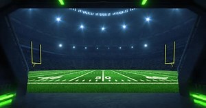 Entrance Sports Stadium Full Cheering Fans Stock Footage Video (100% Royalty-free) 3826178115 | Shutterstock