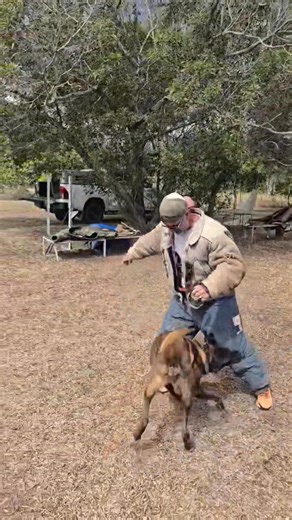 Le centre de formation de Jean Hucbourg Formation Cyno s’adresse principalement aux professionnels : éducateurs canins, police municipale, administrations et entités ayant besoin de connaître et de comprendre le chien dans des contextes exigeants. Jean Hucbourg propose également des formations destinées aux particuliers, avec des programmes structurés, notamment des cycles de dressage en 10 séances, accessibles tout en restant rigoureux. Concernant l’élevage de Bergers Belges Malinois, il a intr