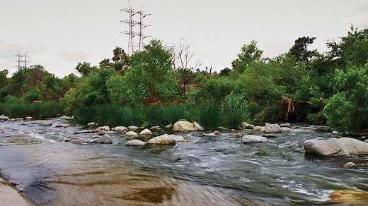 1.4K views · 39 reactions | Ofelia Esparza, a master altar maker, talks about why she made the Los Angeles River a centerpiece of her altar, now on view in the Museum's Becoming Los Angeles exhibition. NHM.org/becomingLA | Natural History Museum of Los Angeles County | Facebook