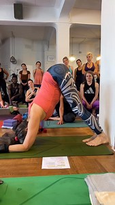 ✨We LOVE using the wall as a prop in Forrest Yoga✨ The wall isn’t just support it’s a teacher too! It helps build new neural pathways that tell us “Yes, you CAN do this!” and becomes a powerful stepping stone for overcoming fear. Here are some of our favorite wall poses for you to explore. 💪🧘‍♀️ Let the wall guide you into strength, courage, and new possibilities. What’s your favourite wall pose? Comment below 👇 | Forrest Yoga