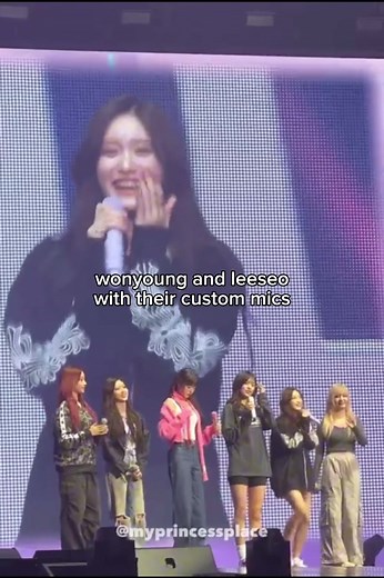 Custom Microphones for Kpop Idols