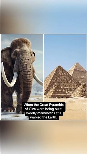 MINDBLOWING History Facts You DIDN'T KNOW... 🧾🤯 |#historyphotos#historicalphotos#nostalgia#fyp#fy