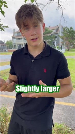 How Do Muscles Grow? #muscle #science #shorts