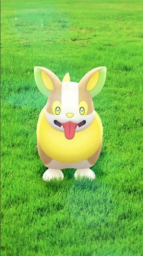 Will you be casting an electrifying vote for Yamper for August Community Day? ⚡🤩