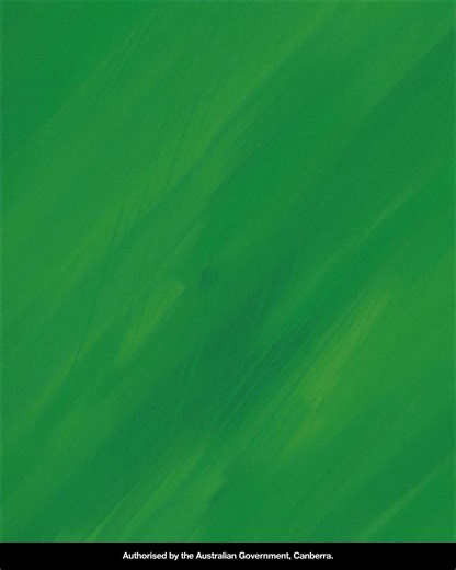 40K views · 72 reactions | Medicare Urgent Care Clinics are bulk billed, open early and late, and treat urgent illnesses and injuries. | Australian Government Department of Health, Disability and Ageing | Facebook