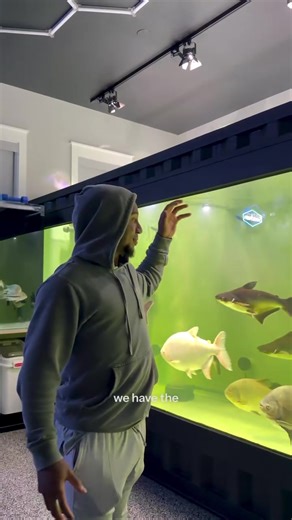 Sadly, the baby snappers we were growing out didn’t make it 💔 That’s part of the reality of this hobby, even when you do everything right. Now we’ve got an empty 100-gallon tank, and I’m thinking about switching things up and doing an African cichlid setup 👀🔥 What do you guys think? #baseball #america #atlantabraves #atlantageorgia