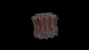 ATP Synthase - 3D model by iqcenter