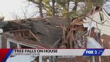 Tree falls onto St. Louis home after water main break, homeowner says