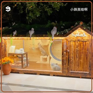 366K views · 28K reactions | the fancy cat villa brings all the cats to the yard. | 9GAG Cute | Facebook