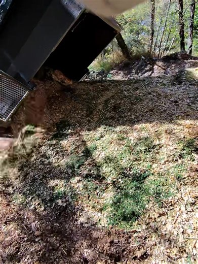 Three trees later… | Top Notch Tree Cutters