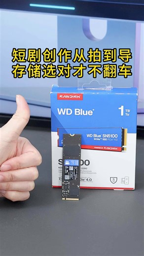 闪迪（SanDisk）ssd固态硬盘 NVMe M.2接口 AI台式机存储 笔记本升级硬盘 原厂颗粒不虚标不掉速 SN5100 | PCle4x4 7100