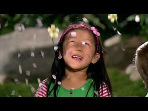 Waybuloo 🧘 JOURNÉE DE JEU PIPLING - ÉPISODE COMPLET 🌳 ZeeKay Junior Français