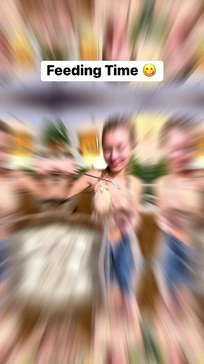 144K views · 669 reactions | Feeding Time  | Aquarium Info | Facebook