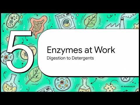 Enzymes || Nature’s Biological Catalysts