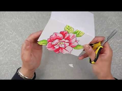 THREE FUN FOLDS WITH ONE STAMP SET! (1326)