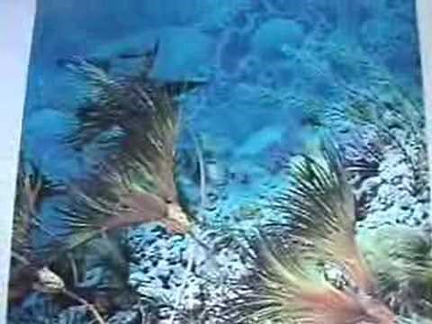 Introduction to Fossil Crinoids part 1