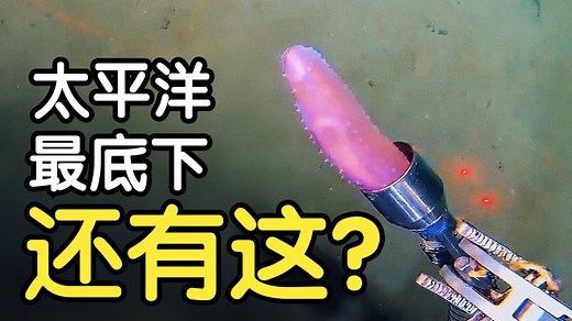 中国科学家潜入地球最深处，他们发现……