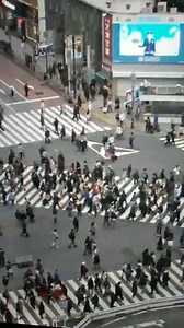 street view | Moli Blue